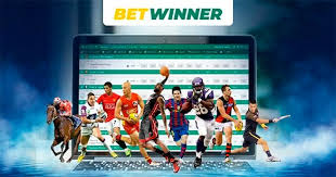 Exploring Betwinner Bets Strategies, Tips, and Insights